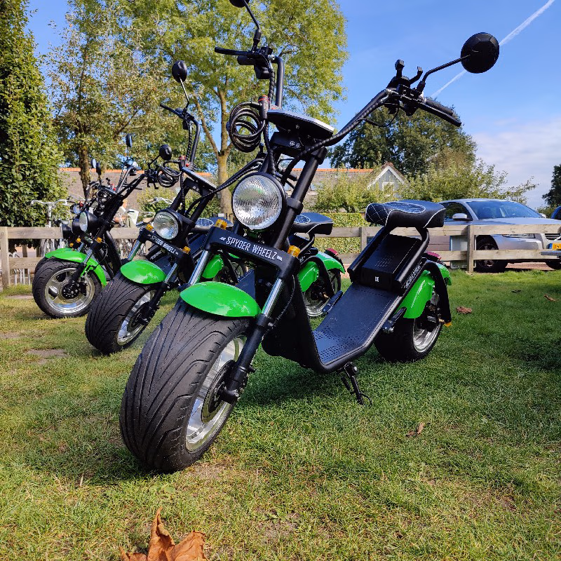 Weerribben Chopper Afternoon