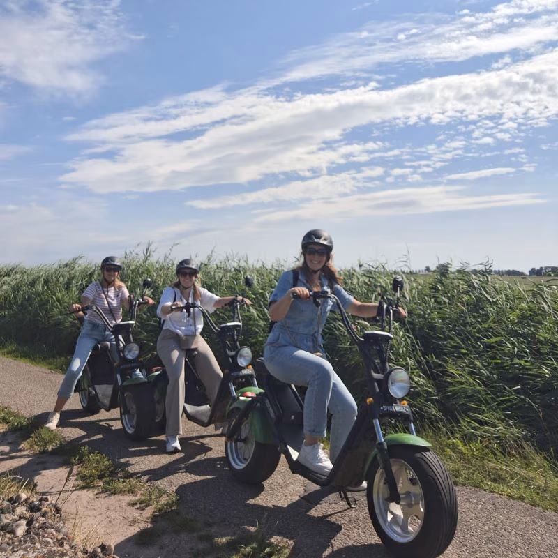 Weerribben Chopper & Vertier